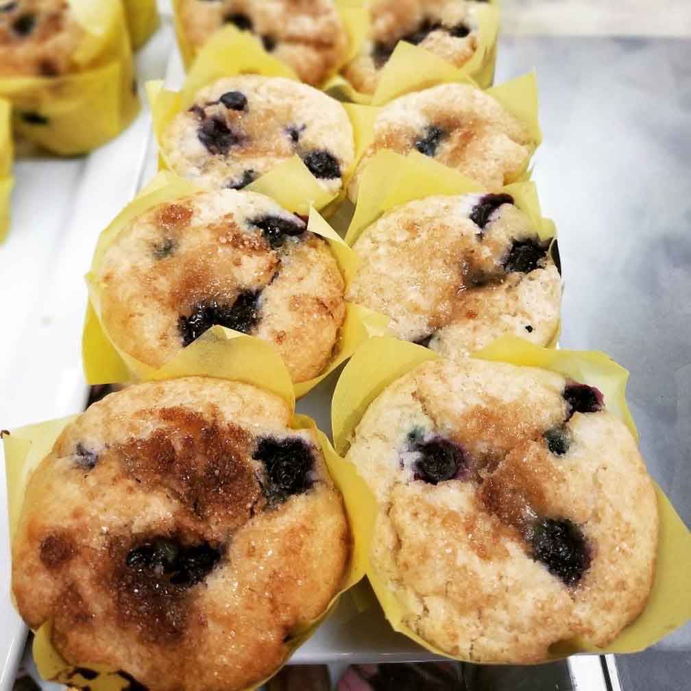 Blueberry Muffin