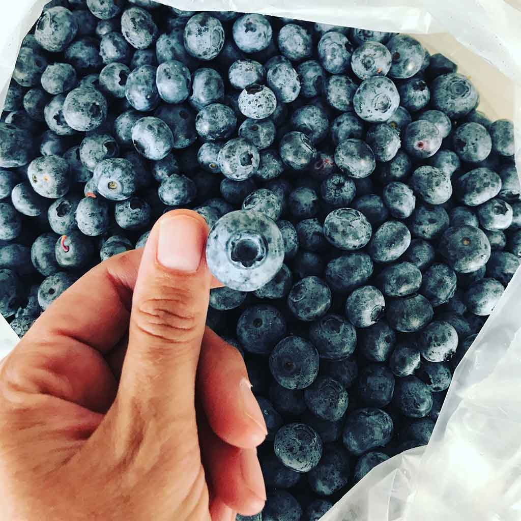 Blueberry Muffin - thumbnail 2
