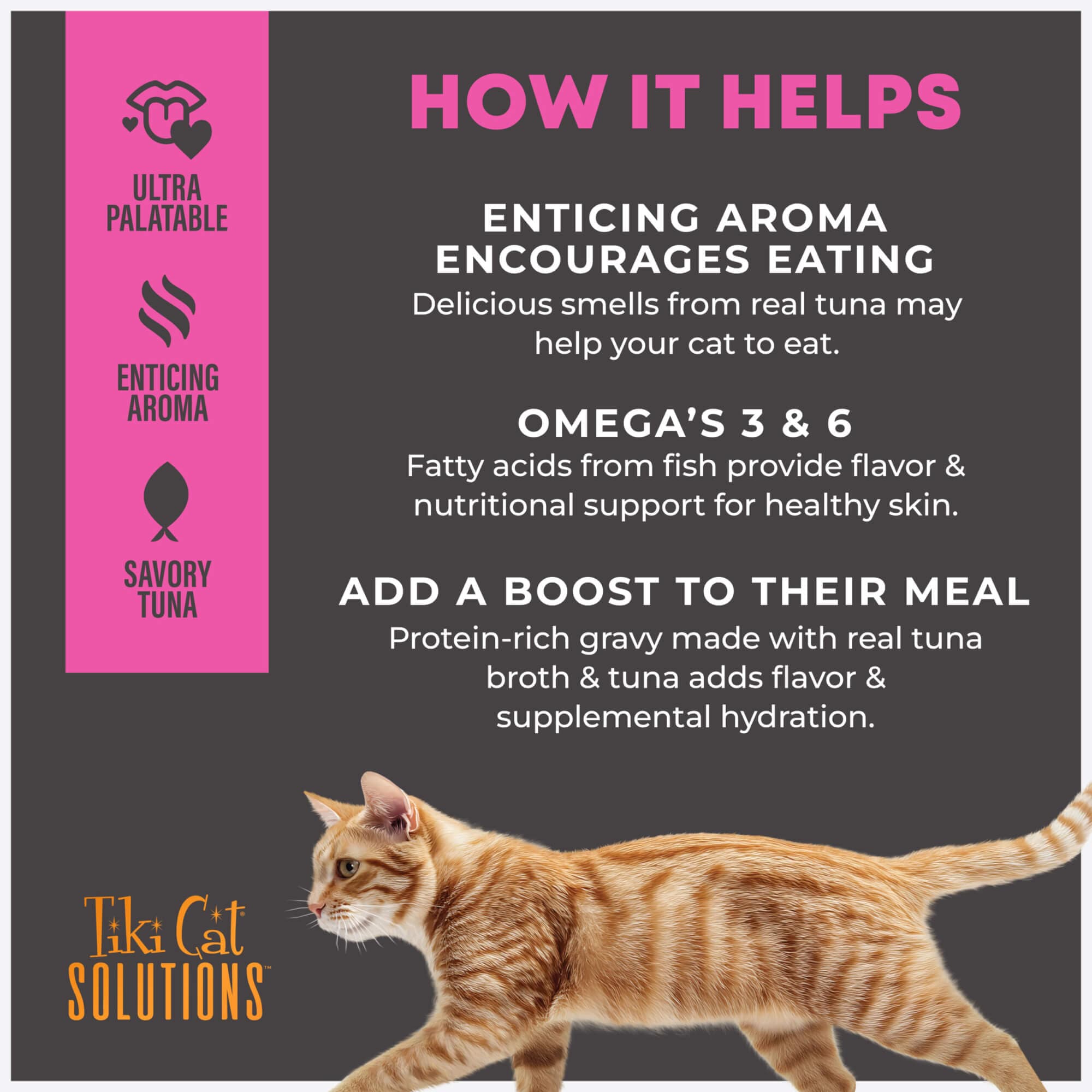 Topper: Tuna Recipe in Broth - thumbnail 7