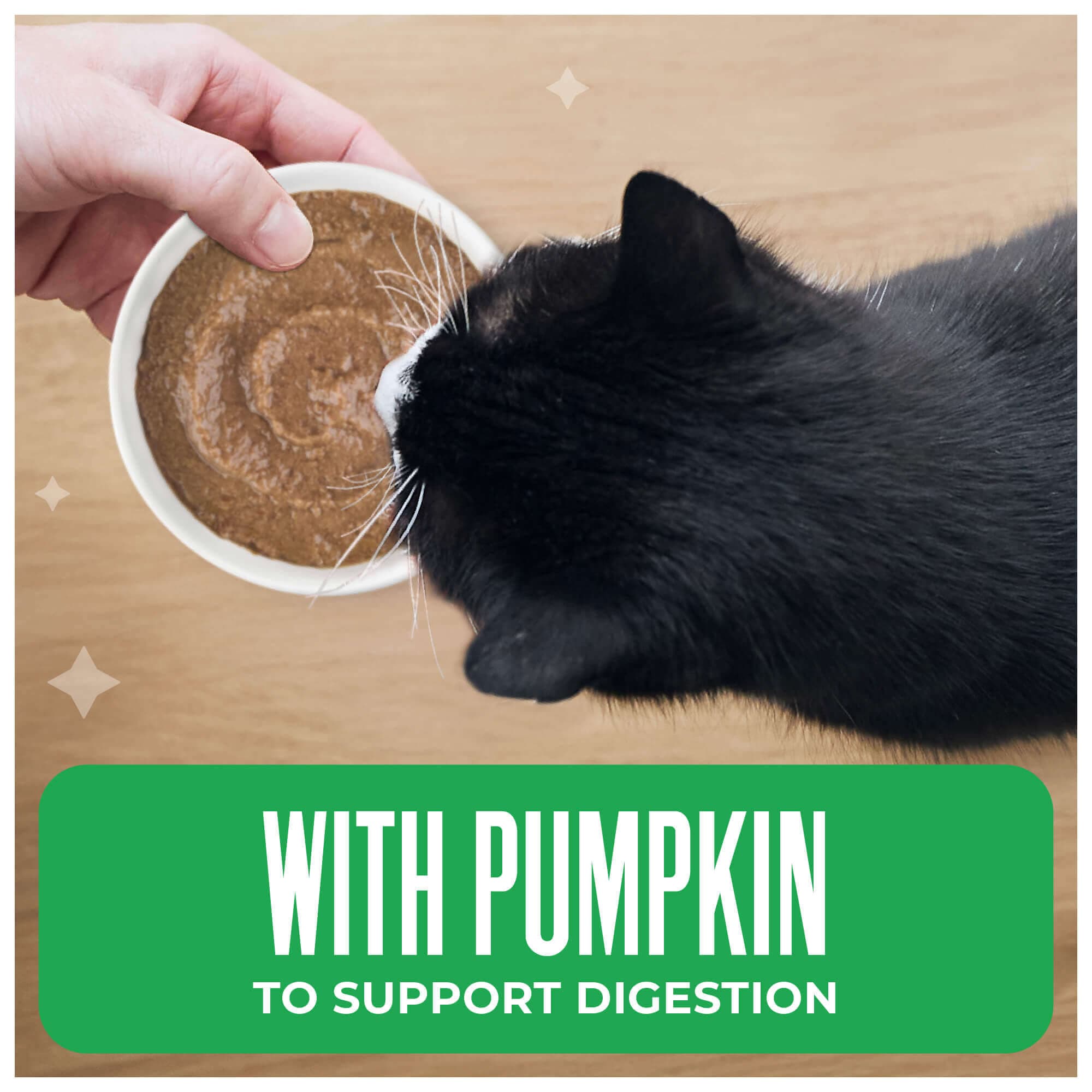 Tuna, Pumpkin & Ocean Whitefish Recipe in Broth - thumbnail 4