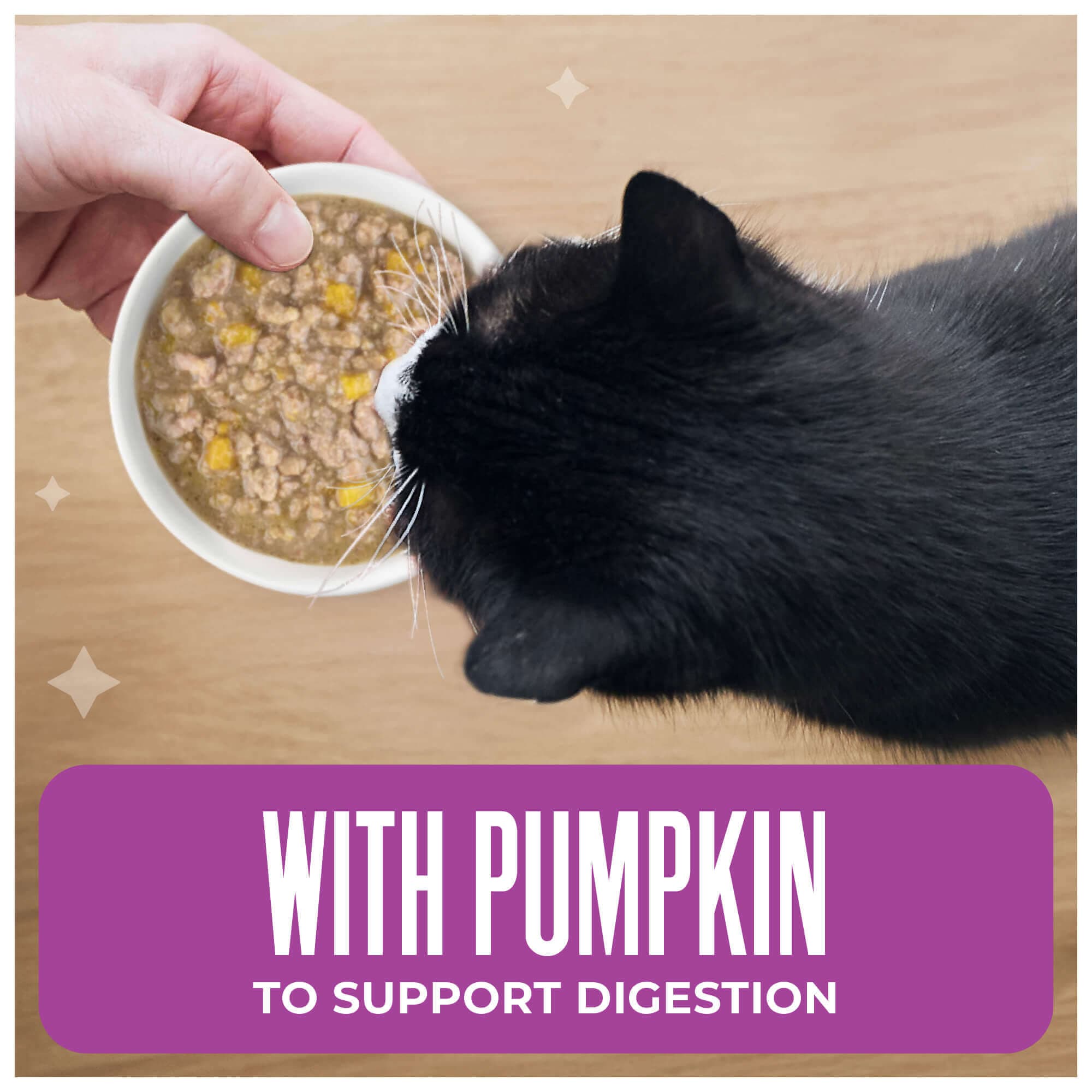 Chicken, Pumpkin & Duck Recipe in Broth - thumbnail 6