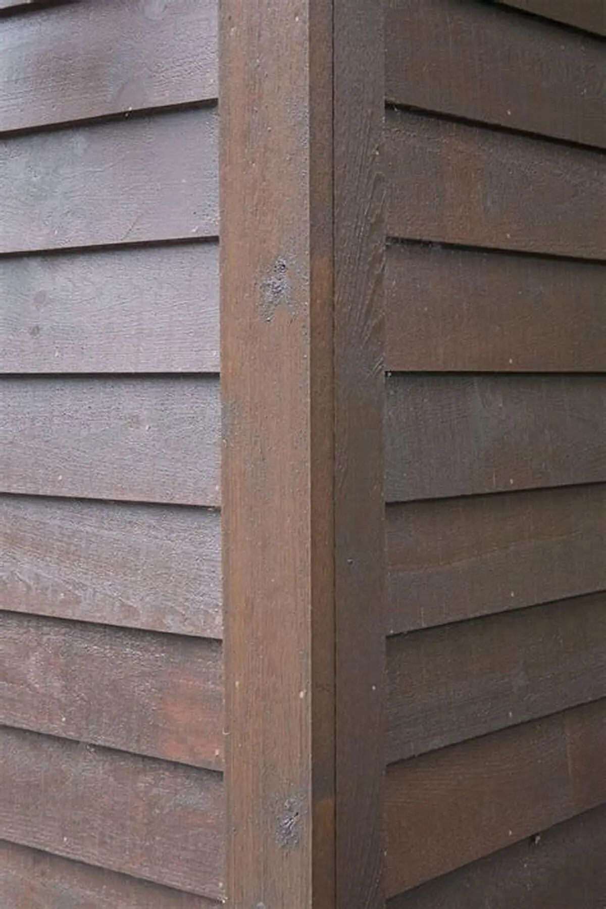 Bevel Siding Thermally Modified KD #1 Poplar - thumbnail 4