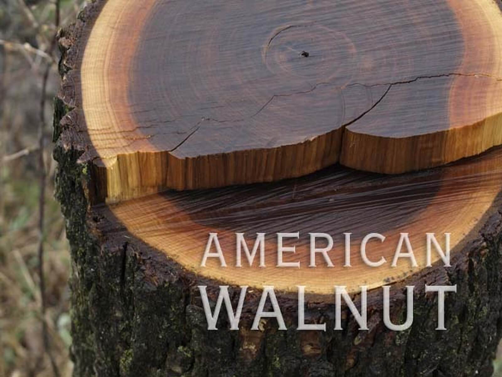 Walnut S&B 4/4 KD Random Width Lumber - thumbnail 4