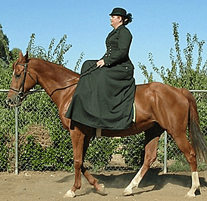 TV464 – 1883 Riding Habit Bodice - thumbnail 3