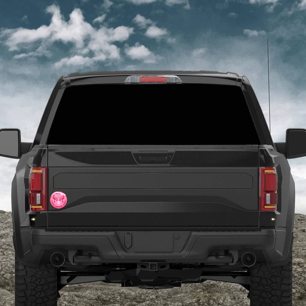 4″ Texas Trophy College Chapter Decals - thumbnail 2