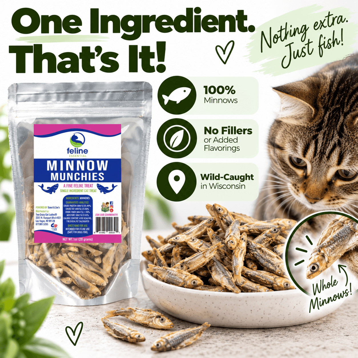 Minnow Munchies for Cats - thumbnail 3