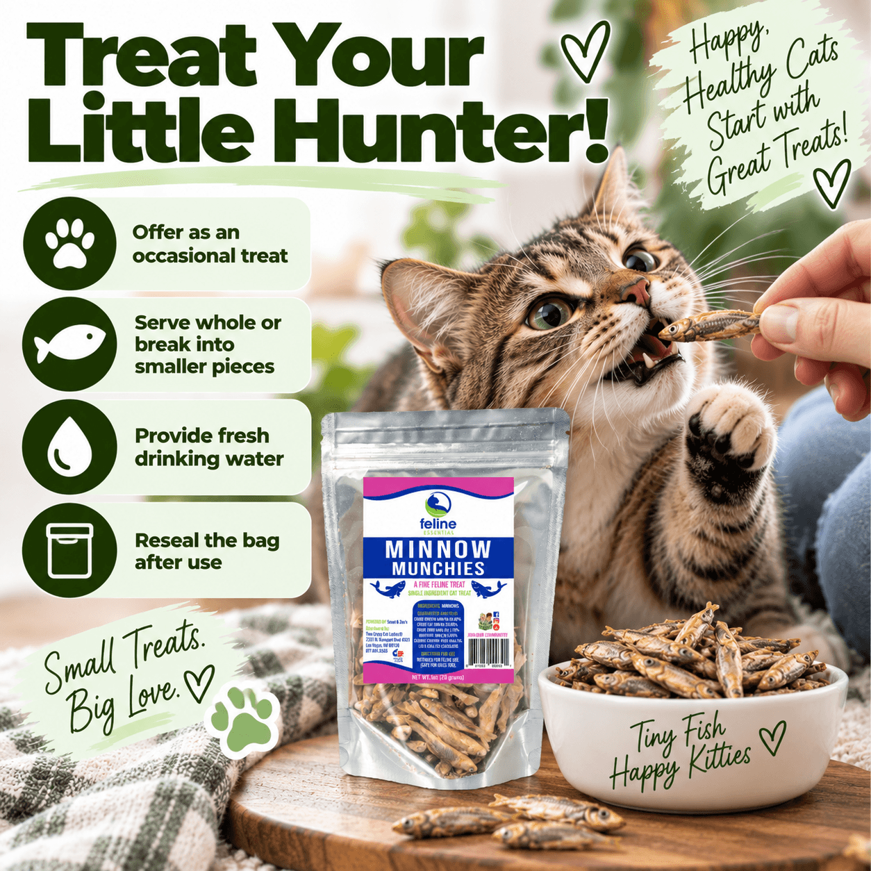 Minnow Munchies for Cats - thumbnail 2