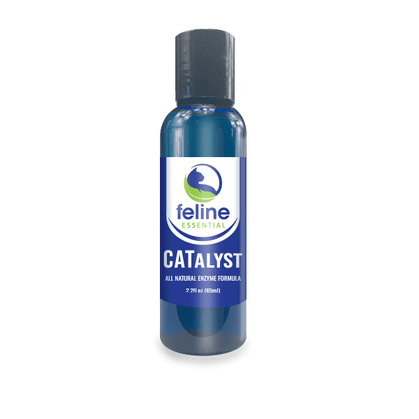 CATalyst Antioxidant Enzyme Formula – 2 oz