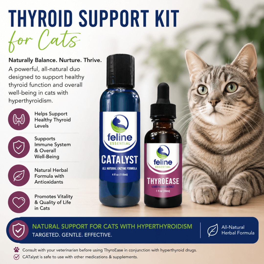 Thyroid Support Kit for Cats - thumbnail 2