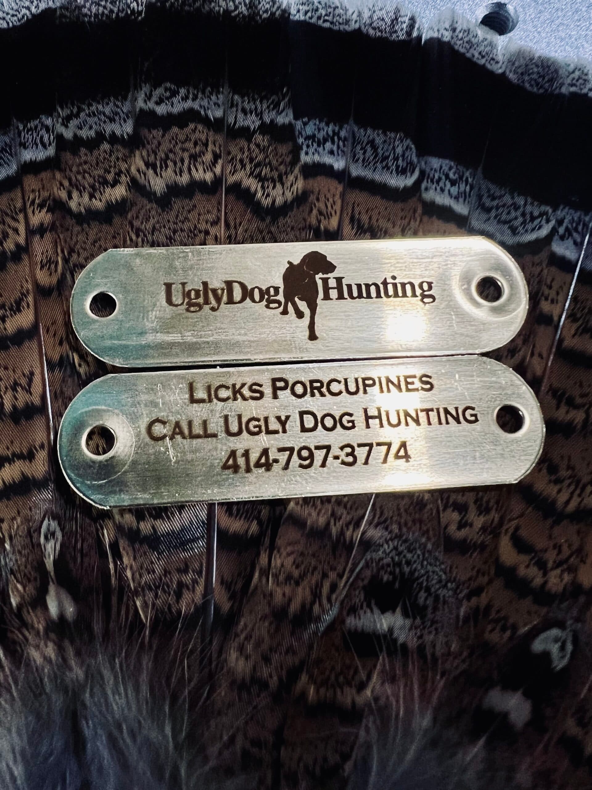 Laser Engraved Dog Collar Nameplate