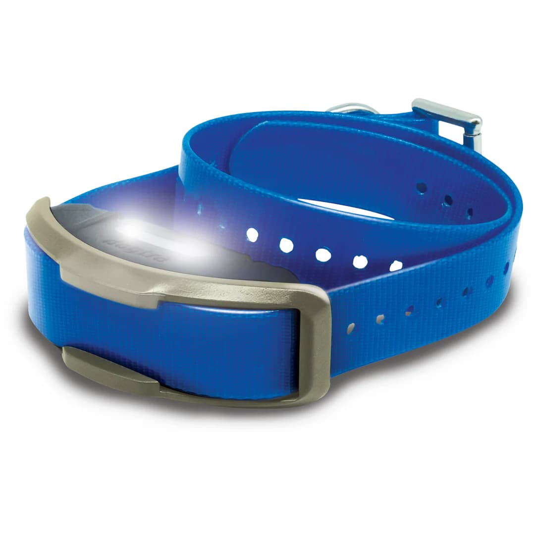 Dogtra 1900x Add-On Collar