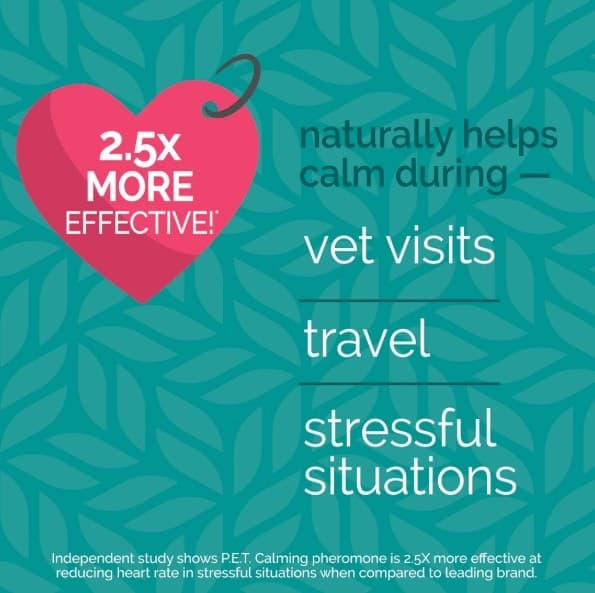 Vetality Harmony Calming Spray for Dogs 1.62 oz - thumbnail 2