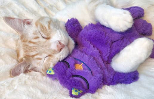 Purr Pillow Kitty Plush Cat Toy - thumbnail 6