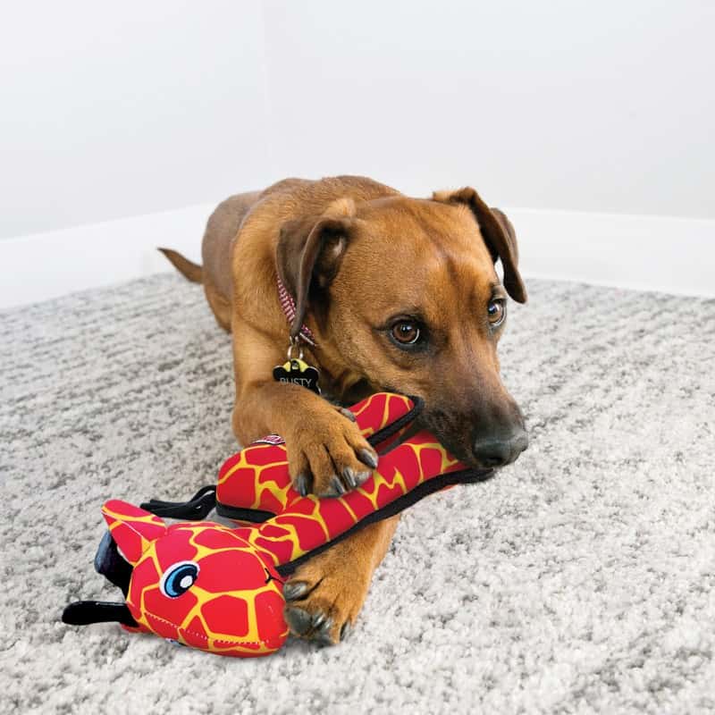 KONG Ballistic Giraffe Dog Toy Md/Lg - thumbnail 4