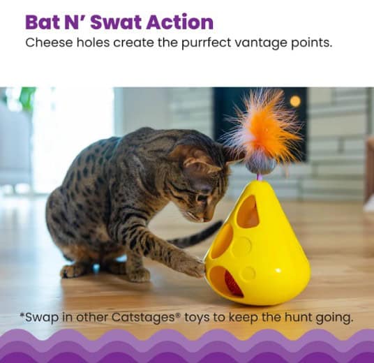 Catstages® Mousin’ Around Wobble Wedge Interactive Cat Toy - thumbnail 2