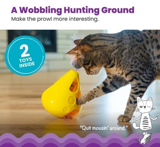 Catstages® Mousin’ Around Wobble Wedge Interactive Cat Toy - thumbnail 3