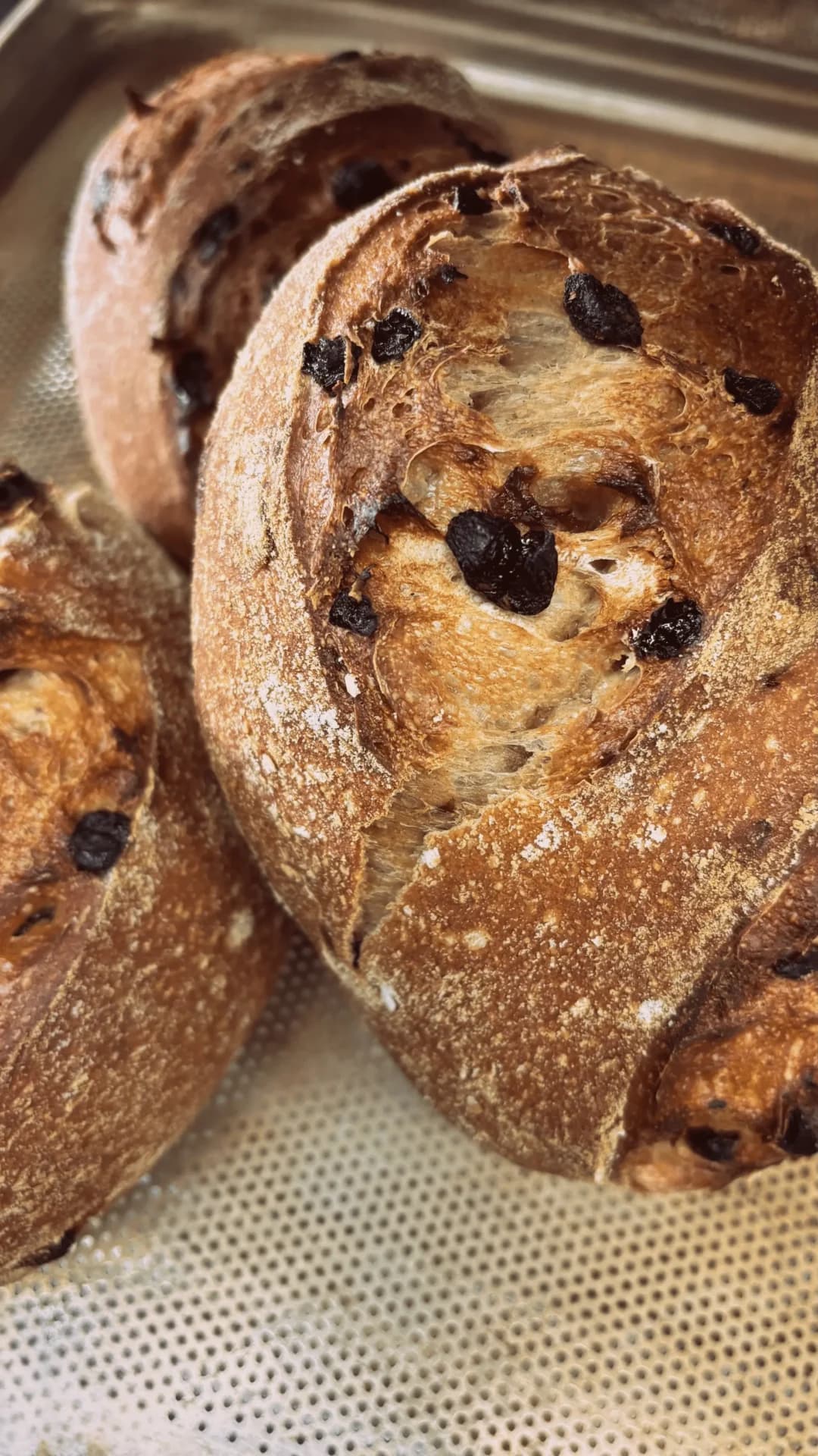 Cinnamon-Raisin-Walnuts Sourdough