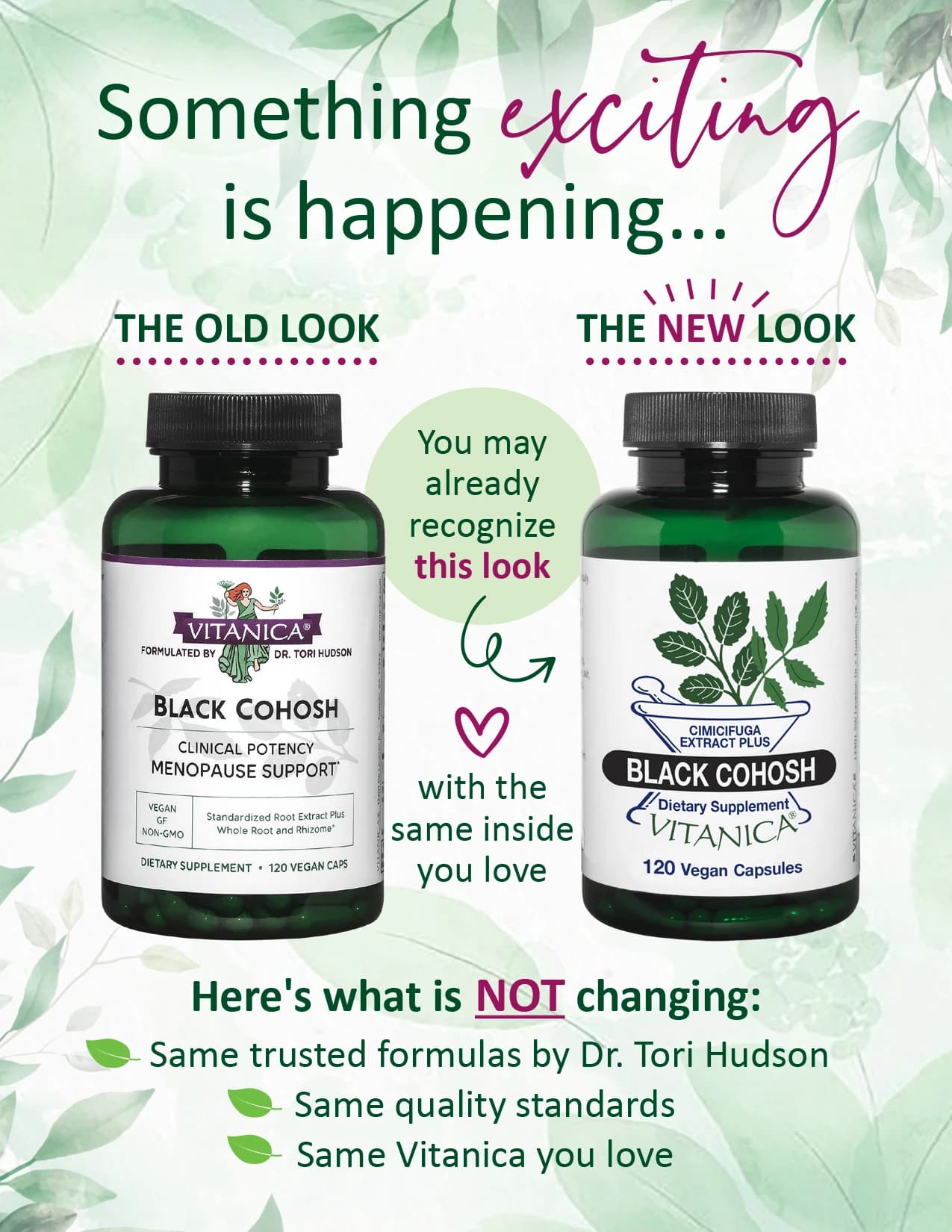 Black Cohosh - thumbnail 3
