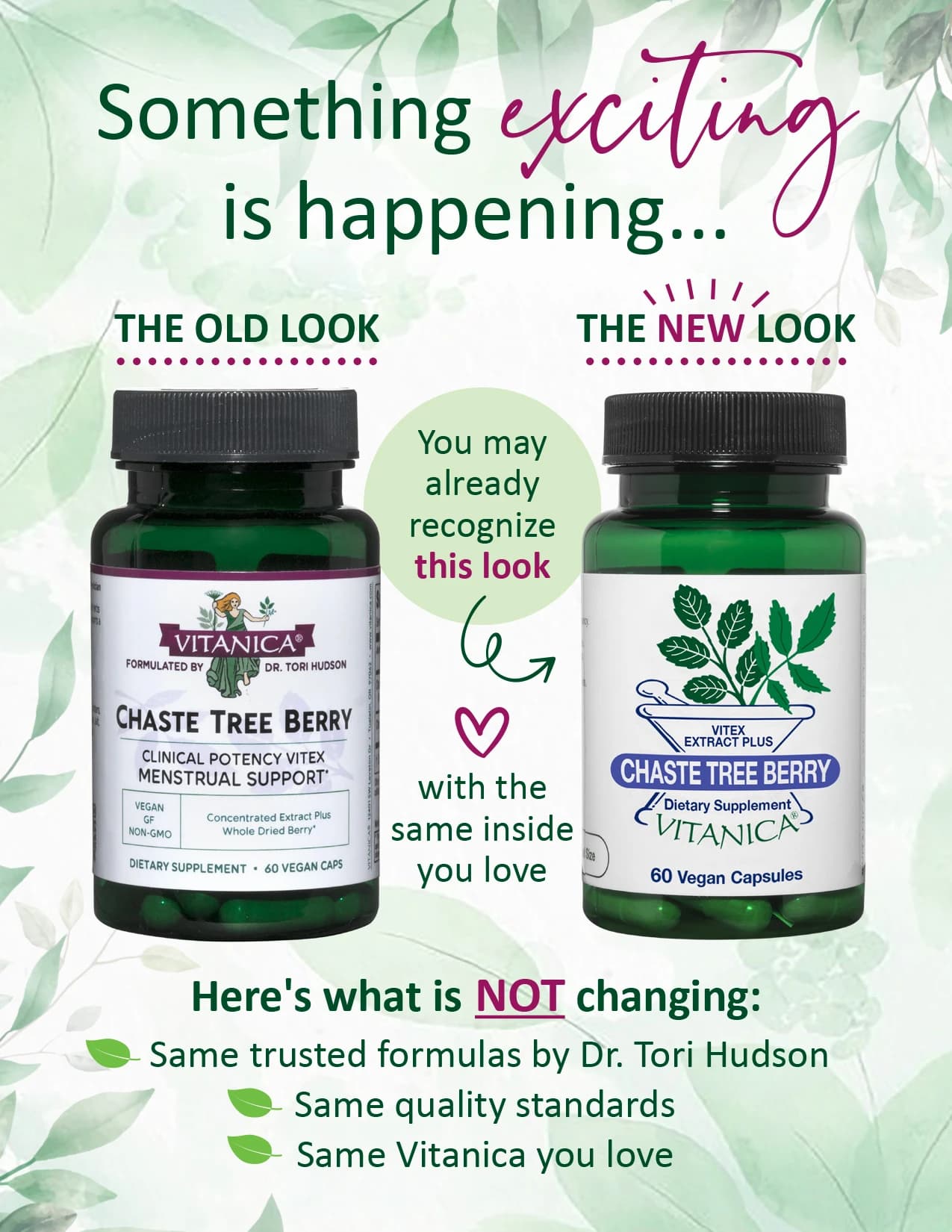 Chaste Tree Berry – 60 capsules - thumbnail 2