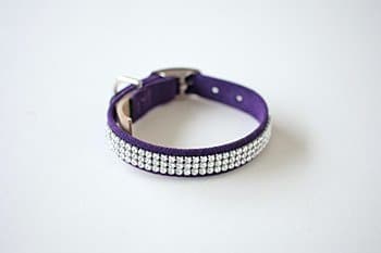 Giltmore Crystal Pet Collar - thumbnail 3