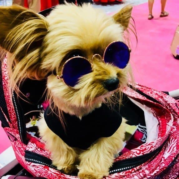 Round Sunglasses - thumbnail 2