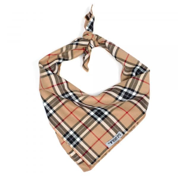 Burberry Bandana