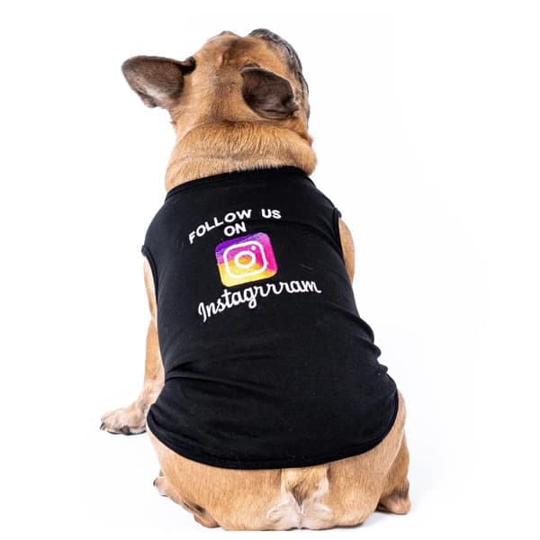 Instagrrram