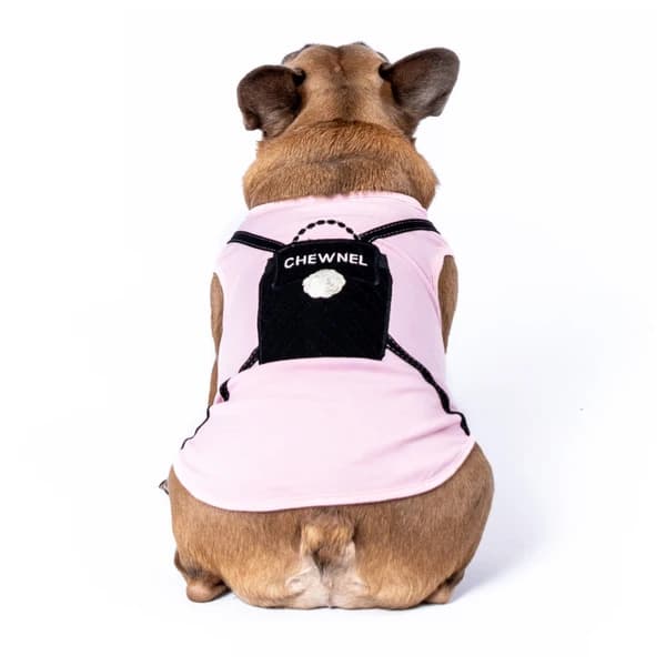 Chewnel Backpack