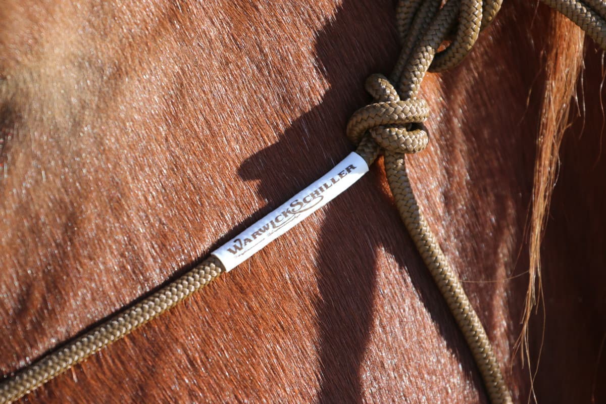 Rope Halter (Halter Only)