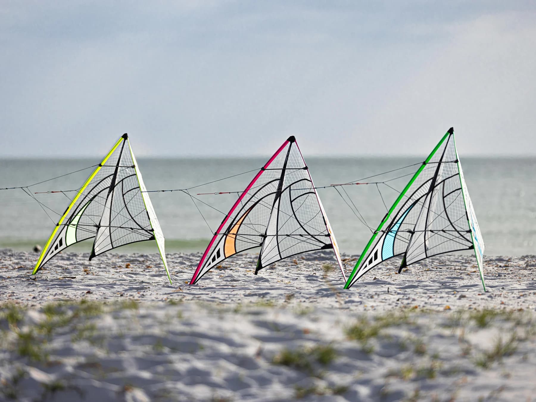 Quantum Special Edition 2.0 Mylar Stunt Kite