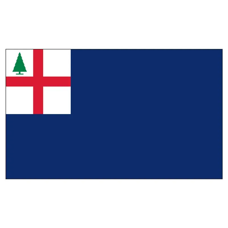 Bunker Hill Historical US Flag