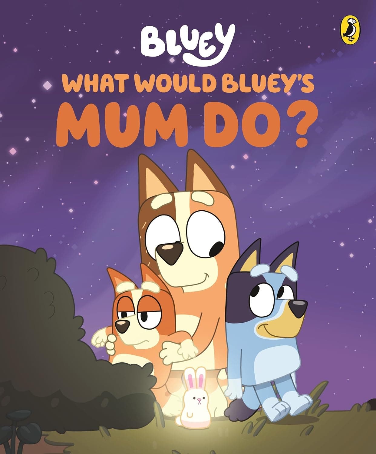 WHAT WOULD BLUEY’S MUM DO? BLUEY