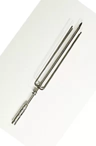 Chicken Skewer