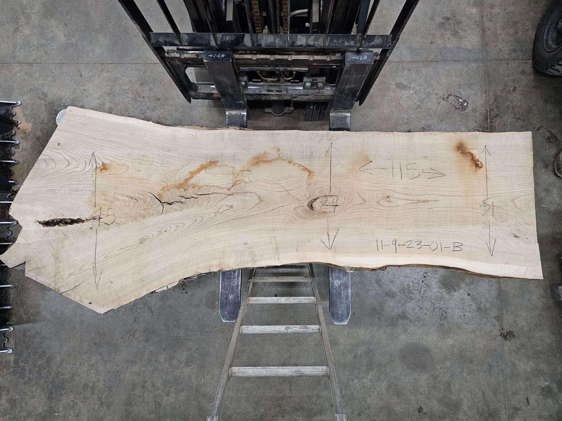 Ash Natural Edge Slab #11-9-23-01 - thumbnail 2