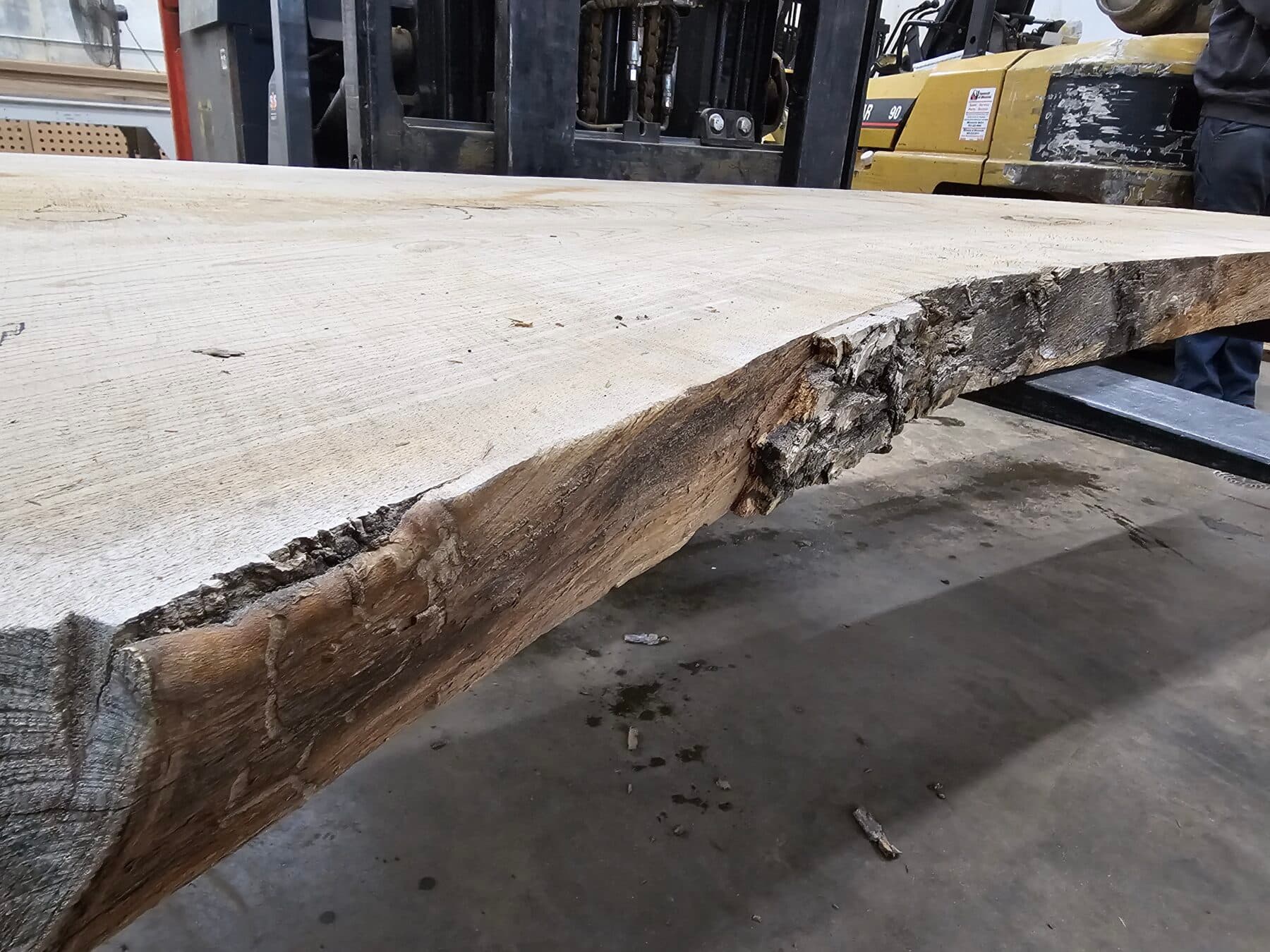 Ash Natural Edge Slab #11-9-23-01 - thumbnail 3