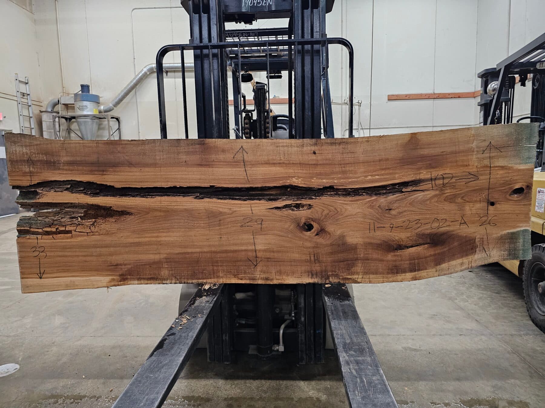 Ash Natural Edge Slab #11-9-23-02