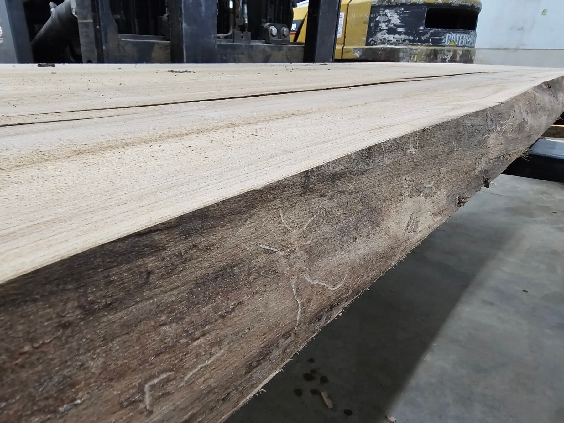 Ash Natural Edge Slab #11-9-23-02 - thumbnail 3