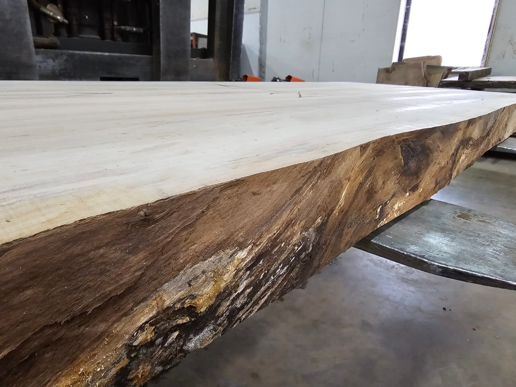 Silver Maple Natural Edge Slab #1-18-24-02 - thumbnail 3