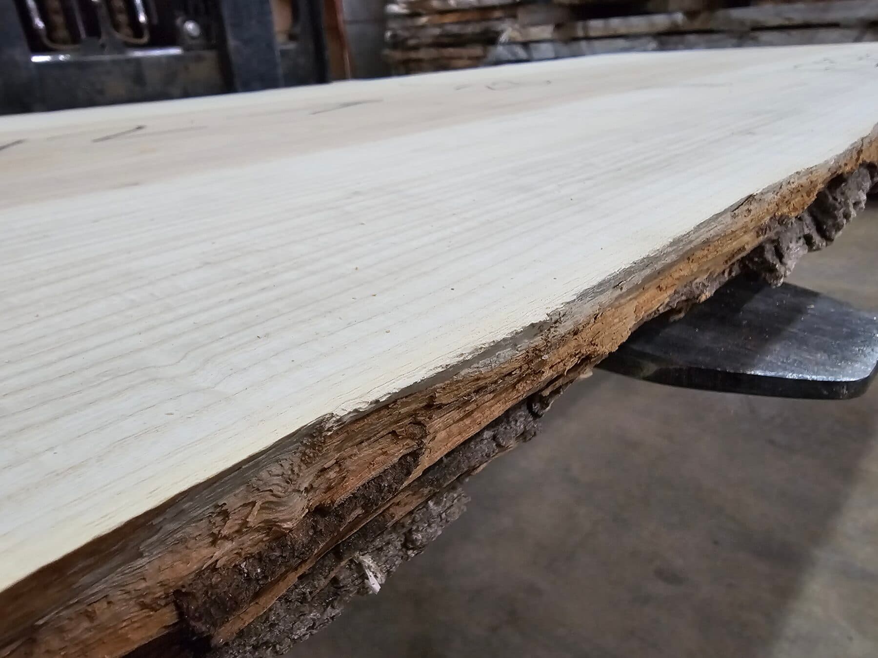 Ash Natural Edge Slab #1-23-24-05 - thumbnail 3