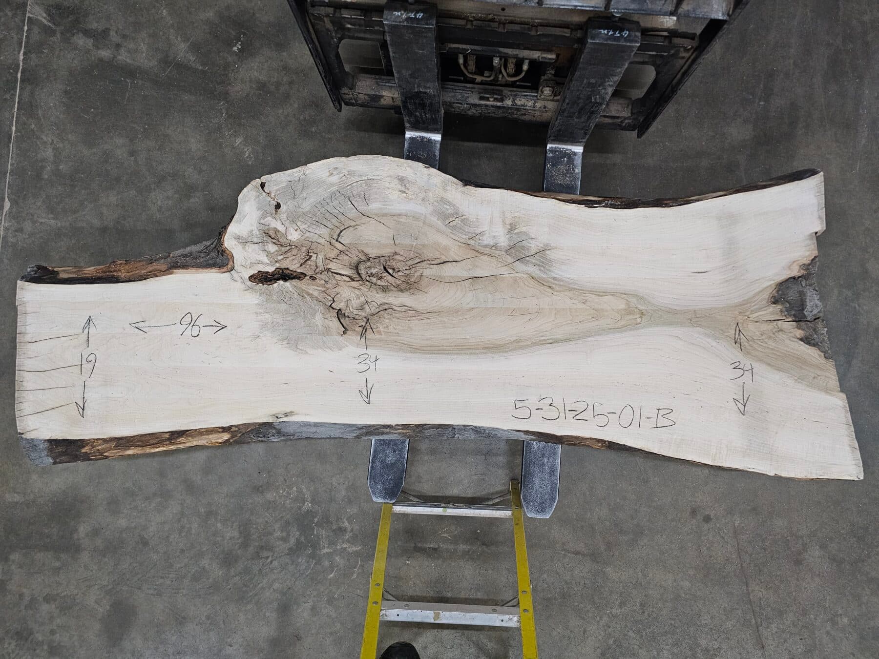 Silver Maple Natural Edge Slab #5-31-25-01 - thumbnail 2