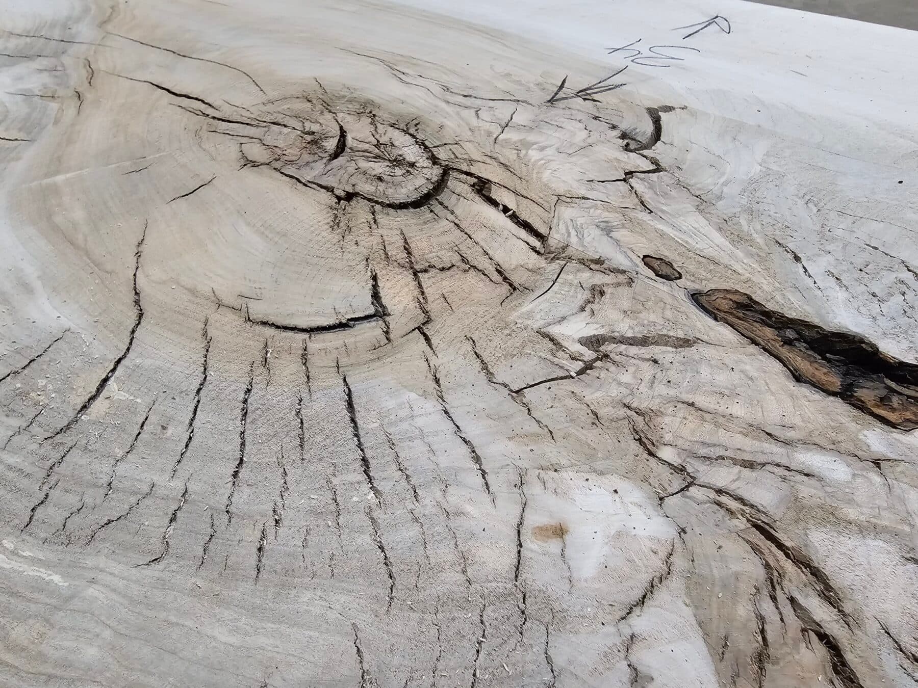 Silver Maple Natural Edge Slab #5-31-25-01 - thumbnail 3