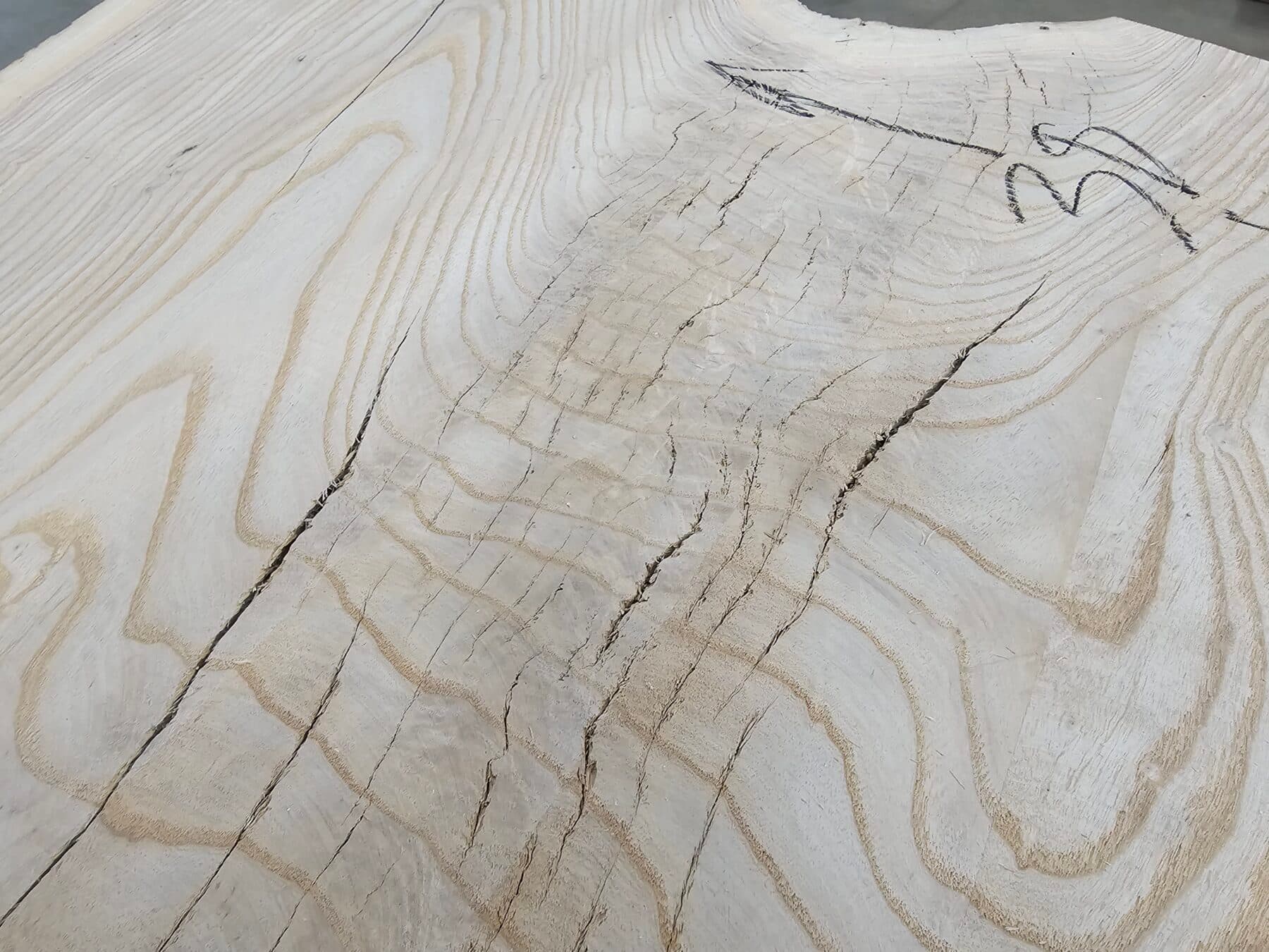 Ash Natural Edge Slab #5-6-25-01 - thumbnail 4