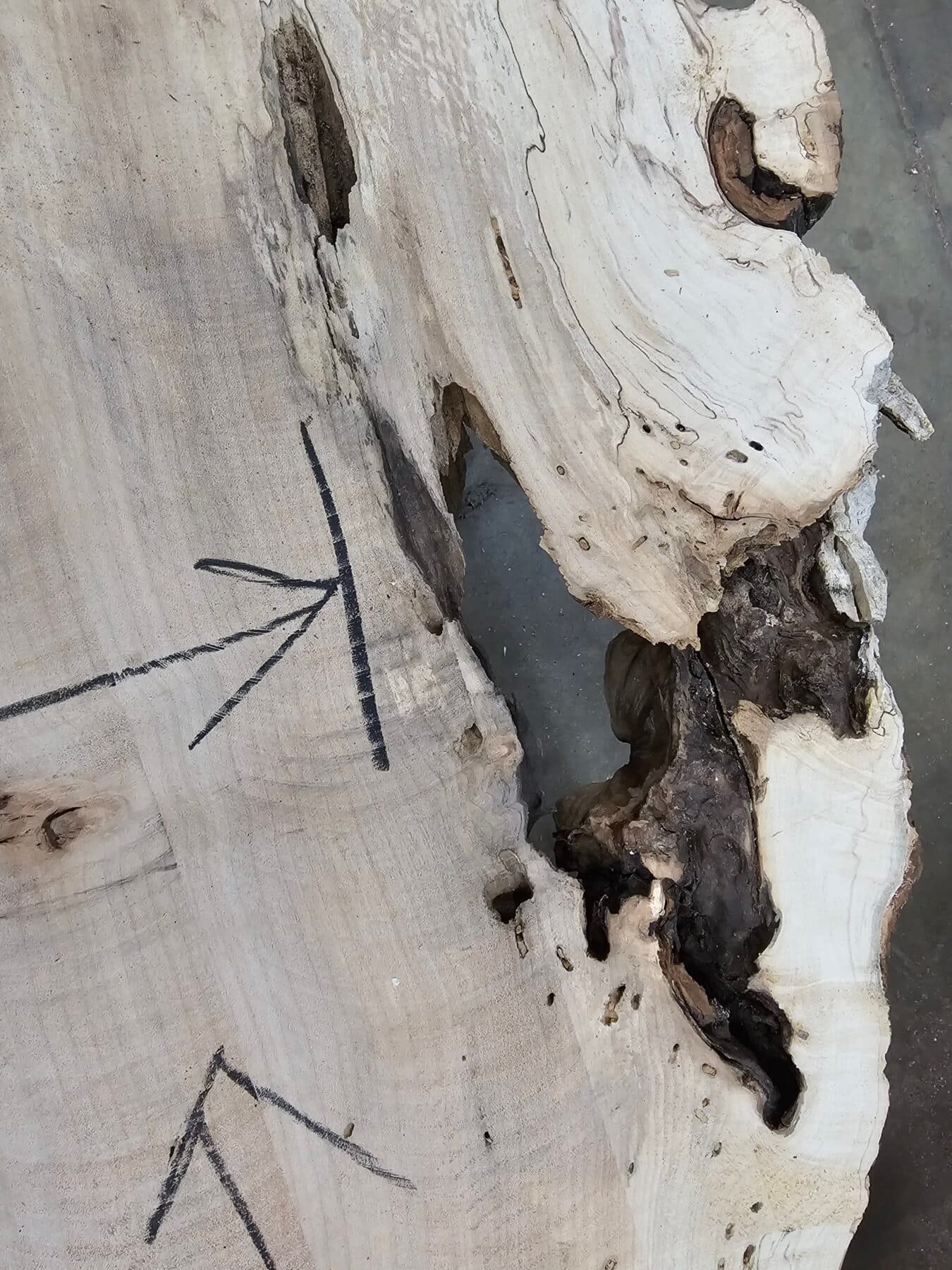 Silver Maple Natural Edge Slab #6-3-25-03-2 - thumbnail 3