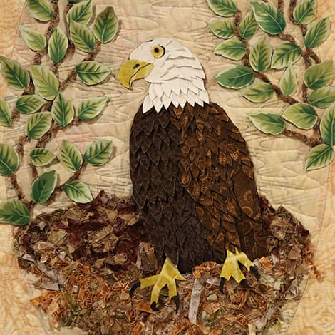 Easy Appli-Bond Bald Eagle Course