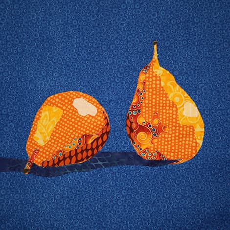 Translate Photos Into Fabric Art Course