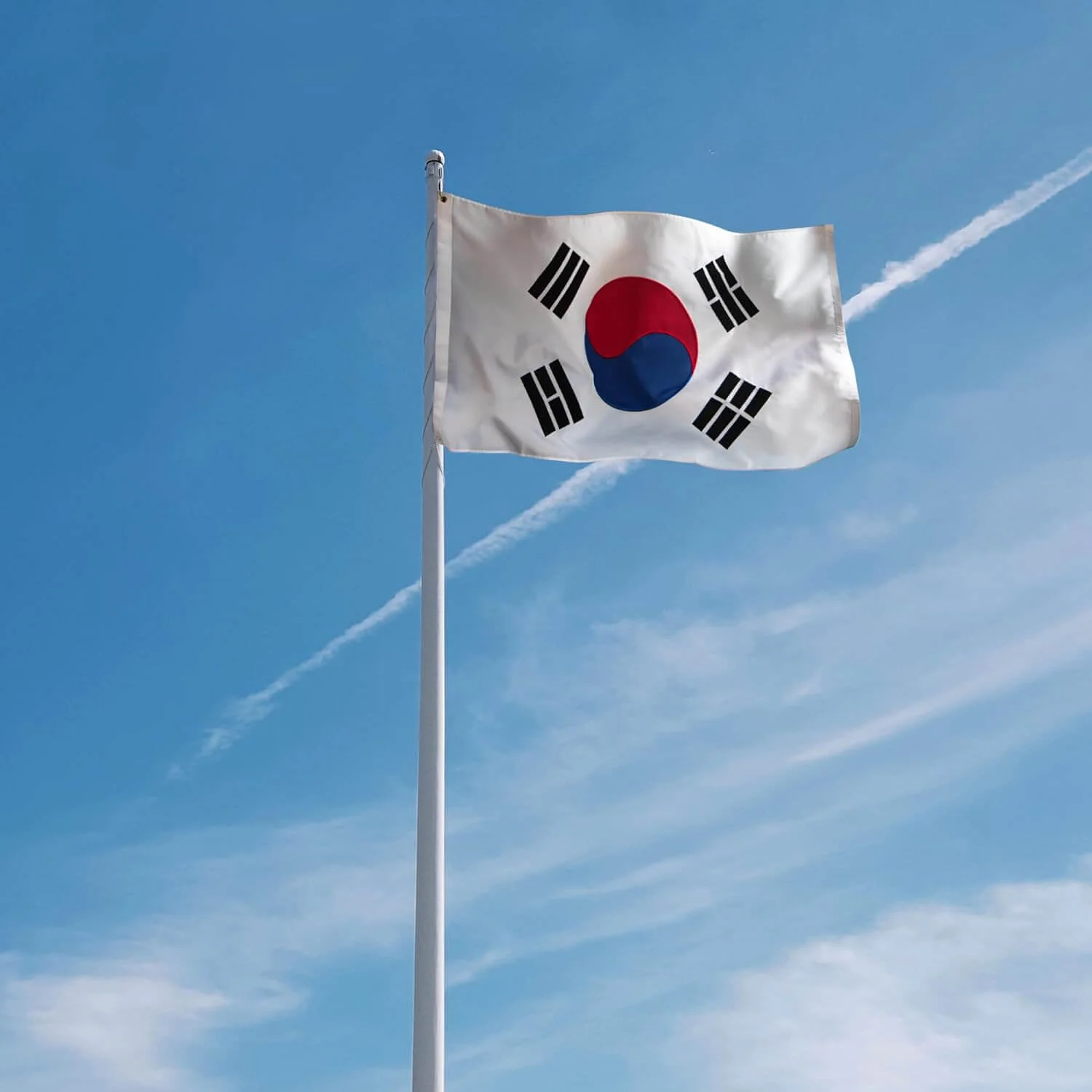 EverStrong Embroidered South Korea Flag 3×5 Foot - thumbnail 6
