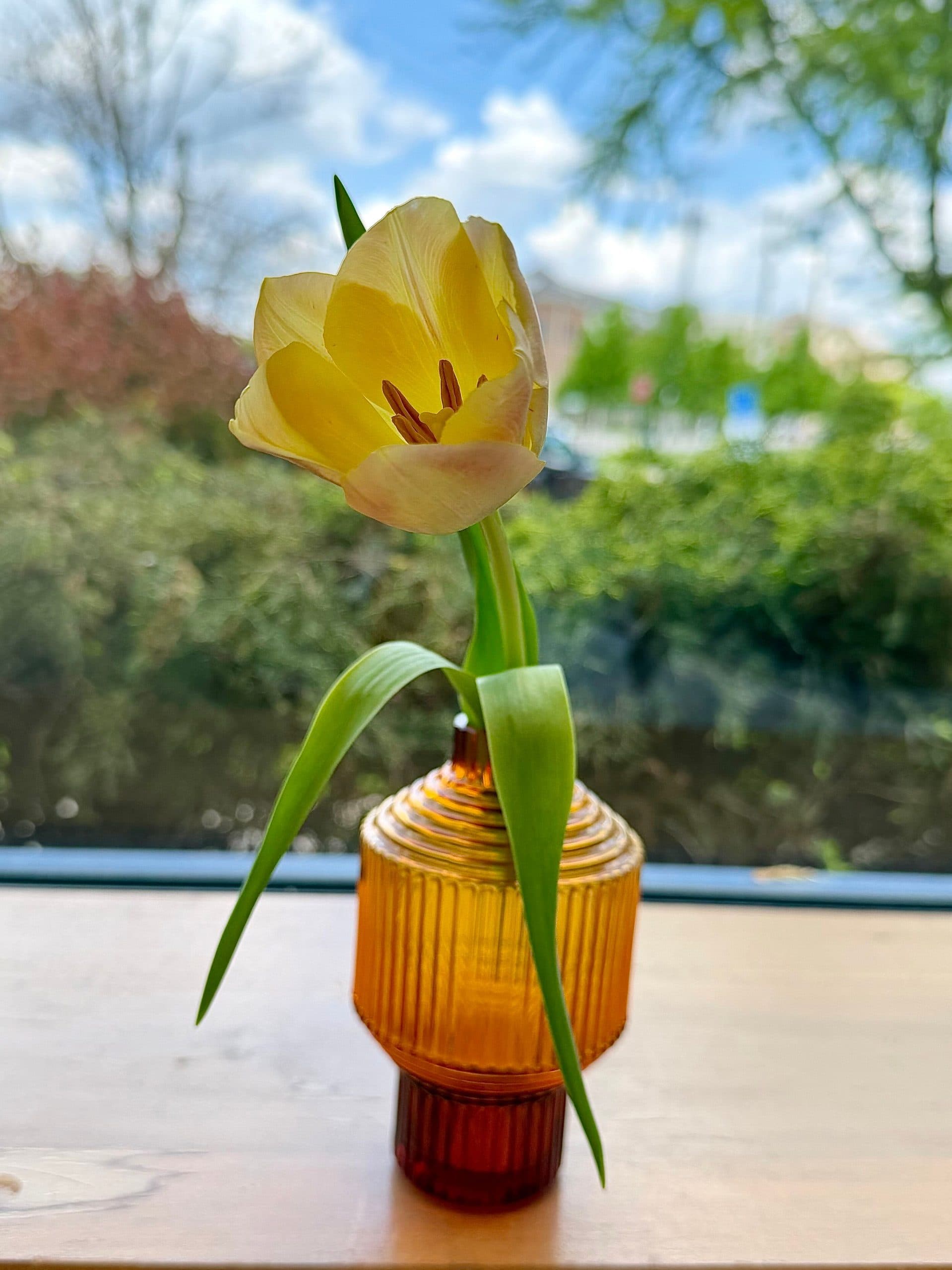 KOSTA BODA PAVILION SMALL DARK AMBER VASE - thumbnail 2