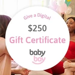 Gift Certificate $250
