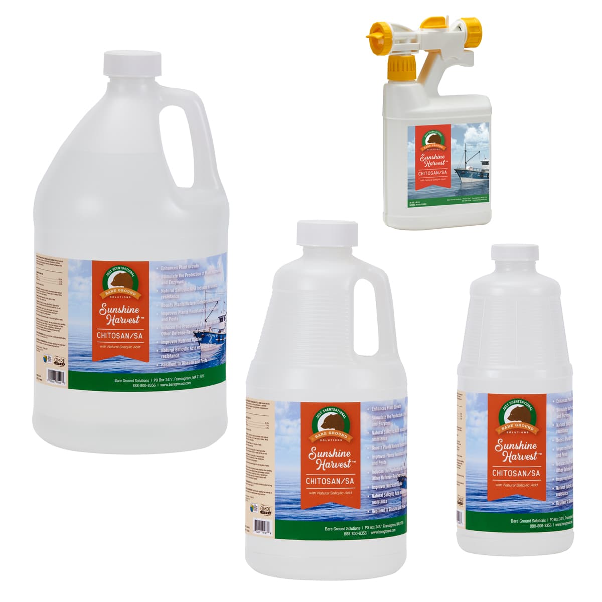 Chitosan with SA