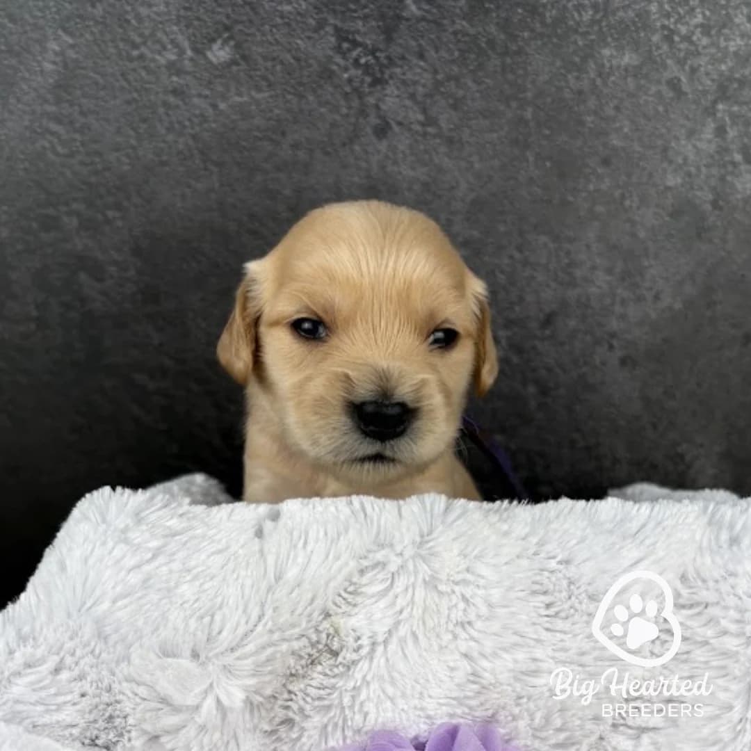 Winnie